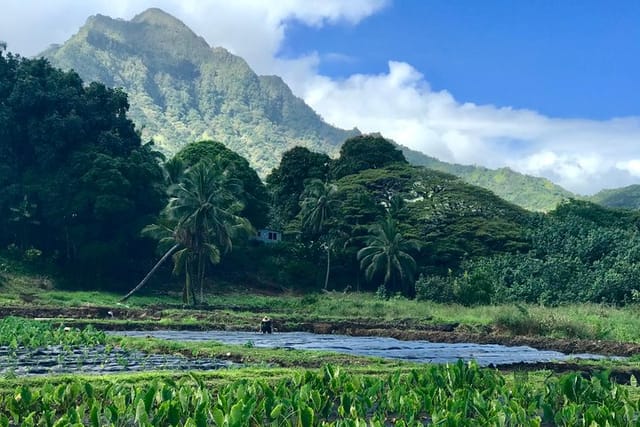 Leave a positive impact on Hawai`i.